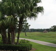Falcon's Fire sports wide, generous fairways.