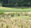 Large waste areas mark Eagle Creek's par-3 11th hole.