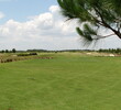 Eagle Creek Golf Club has wide fairways and generous landing areas.