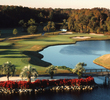 Disney's Palm golf course resembles that of a South Florida course at points with many ponds and palm trees. 