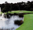 The par-5 14th green on Disney's Magnolia golf course is guarded by water in front. 
