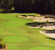 Disney's Osprey Ridge golf course features many large waste areas, like on the par-3 third hole. 
