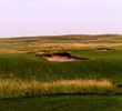 Wildhorse