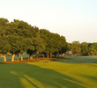 The sixth hole at Mission Inn's El Campeon golf course is one of many that have an elevated green. 