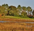 The setting around the par-3 fifth hole at The Legends Course at Orange Lake Resort is fine.