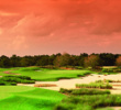 With lots of sand and native grasses, the par-3 seventh hole on Reunion's Watson Course is beautiful and well protected.