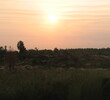 The sun rises over Grande Pines Golf Club, Orlando, Florida.