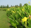 Grande Pines Golf Club, Orlando, Florida.
