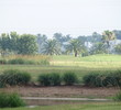 No. 16, Ridgewood Lakes Golf and Country Club, Davenport, Florida