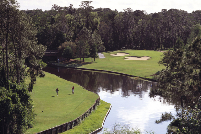 Disney's Lake Buena Vista Golf Course - hole 16