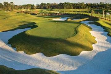 Waldorf Astoria Golf Club - hole 11
