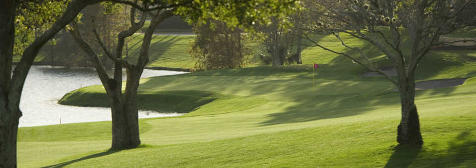 Metrowest #9