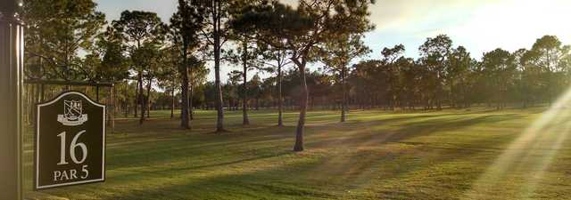 Rio Pinar Golf: #16