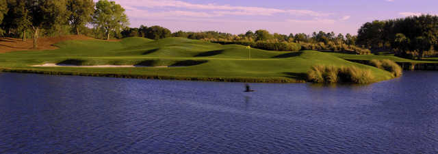 Grand Cypress Resort - East 