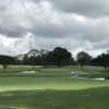 View of a green at The Country Club of Orlando