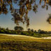 Looking back from a green at Kissimmee Bay Country Club.