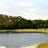 The par-3 16th hole on the Palm golf course at Disney World offers a pretty shot over water from an elevated tee.