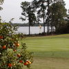 A view of green with water in background at Polo Park East Golf Course