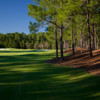 View from Tranquilo Golf Club at Four Seasons Resort Orlando