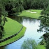 Aerial view from #16 at Disney's Lake Buen Vista