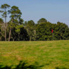 View of a green at The Plantation Golf Club