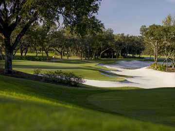 View from Tranquilo Golf Club at Four Seasons Resort Orlando