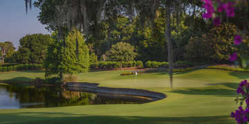 A view of green #12 at Isleworth Country Club