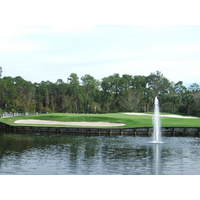 The par-3, island green seventh hole at Lake Buena Vista Golf Course is a challenge. 