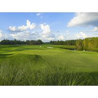The par-4 fourth hole at the South Course features the largest, most difficult green at Grand Cypress Resort. 