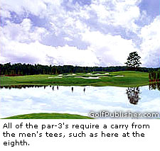 Shingle Creek Golf Club