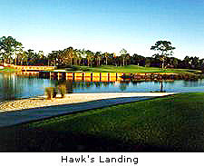 Hawk's Landing